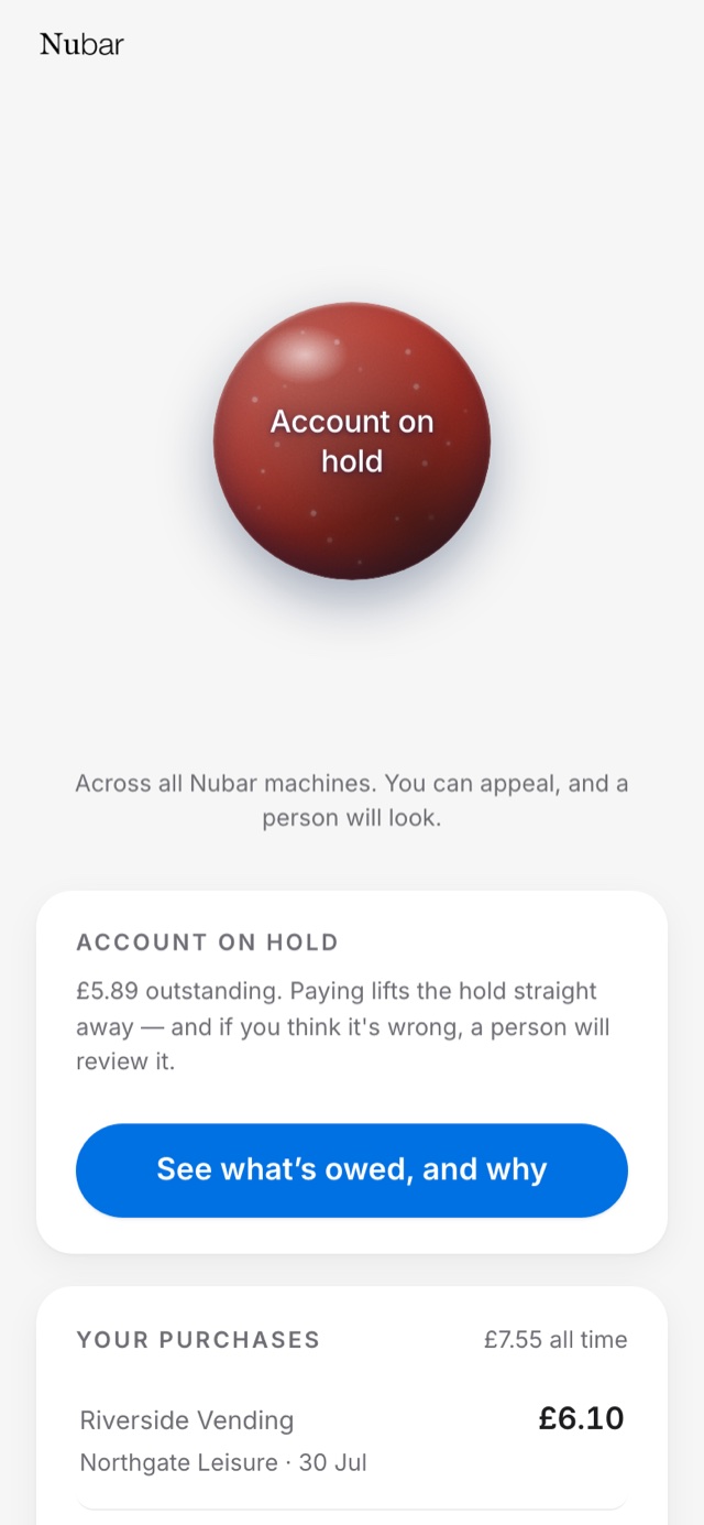 The phone showing an account paused, explaining what happens next.